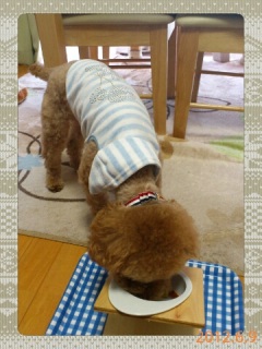 �����뒩���