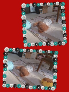 �X�˒�