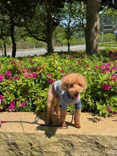 ���N��5��