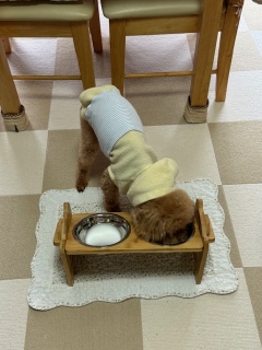 �����낲��