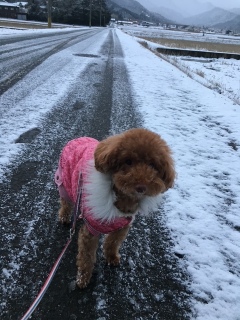 ��Ƃ�����