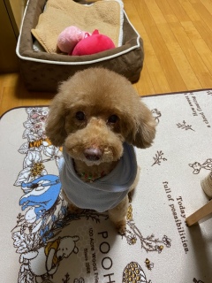 �������҂�