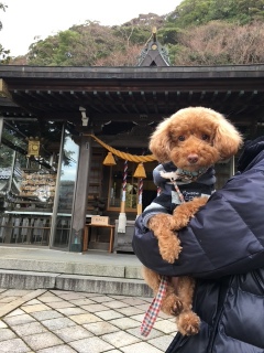 �܂��܂����w