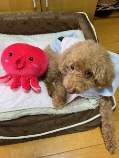 �^�R����