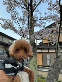 ���Ƃ�����