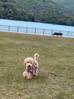 �Ő�����