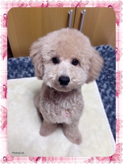 �g���~���O