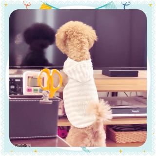 �e���r