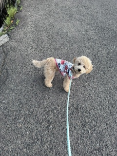 ���U��