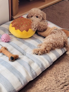 �J�~�J�~