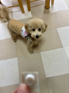 ���