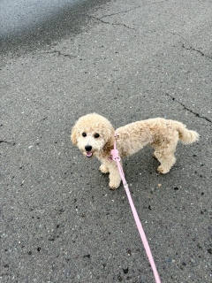 ���U��