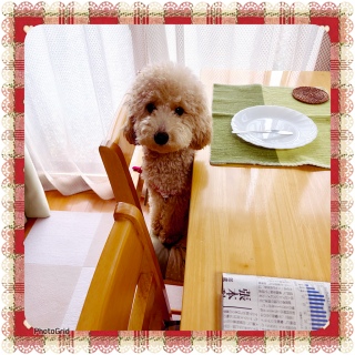 �W�����v��